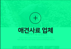 애견사료 업체